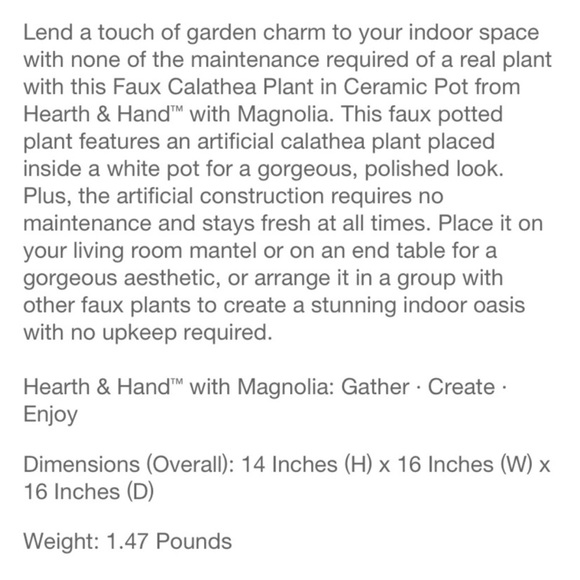 Hearth & Hand with Magnolia Faux Calathea Ceramic Potted Plant - Picture 4 of 6